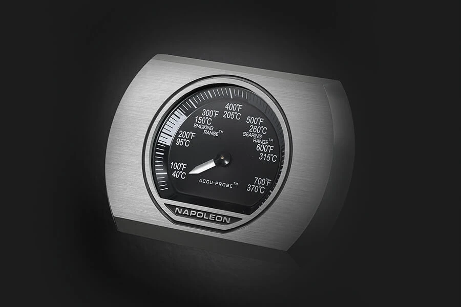 Napoleon Rogue SE 625 RSIB 13 Napoleon Rogue SE 625 RSIB