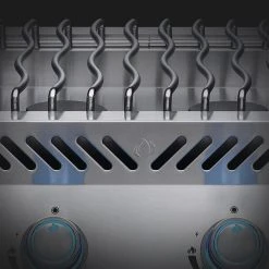 Napoleon Built-in 700 Series Inline Dual Range Top Burner